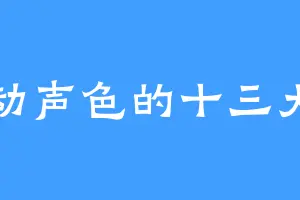 不动声色的十三大盗