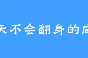 一天不会翻身的咸鱼