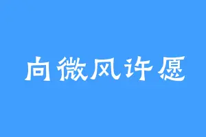 向微风许愿