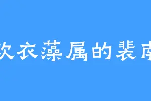 喜欢衣藻属的裴南苇